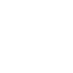 入金